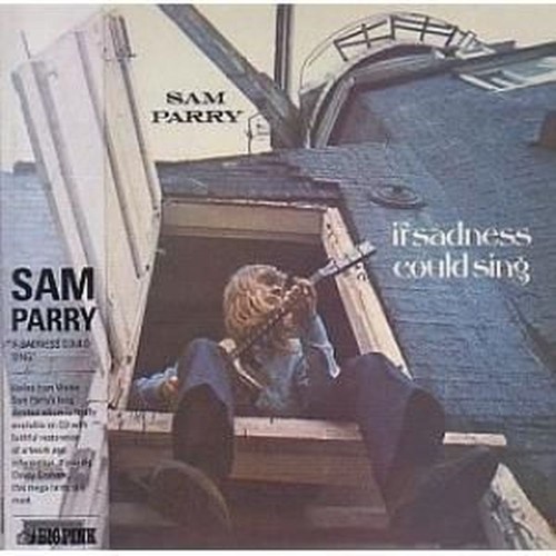 if sadness could sing