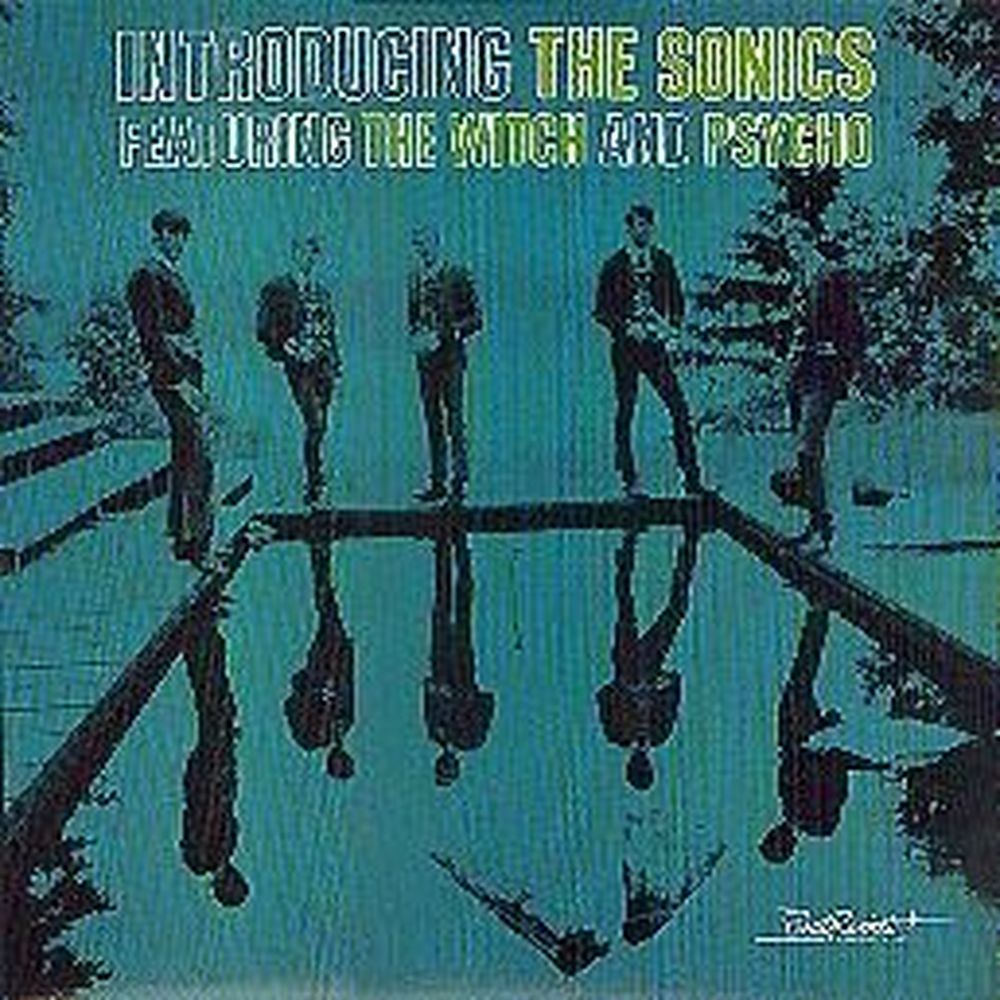 introducing the sonics