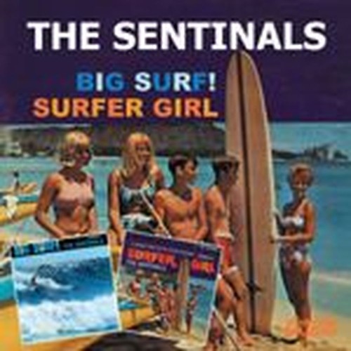 big surf / surfer girl