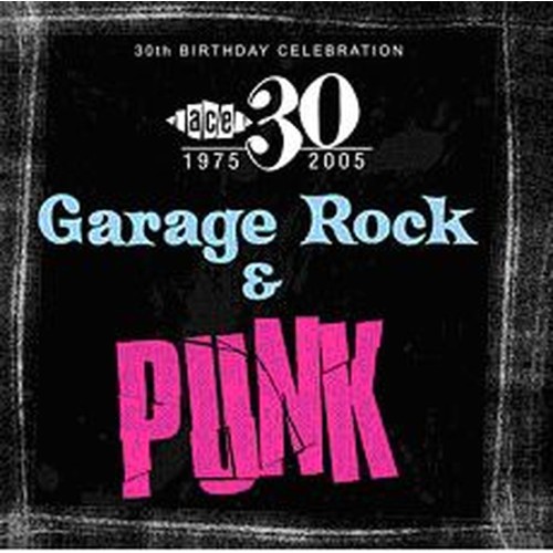 30th birthday sampler ~garage beat & punk rock