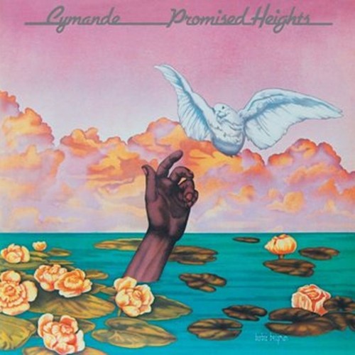 promised heights