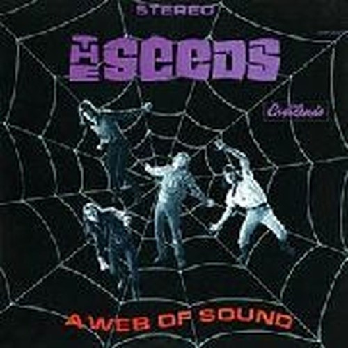 a web of sound