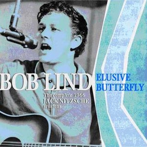 elusive butterfly