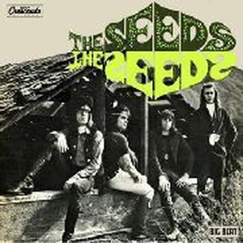 seeds