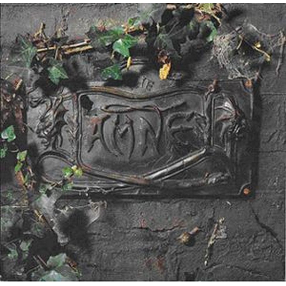 the black album (deluxe version)