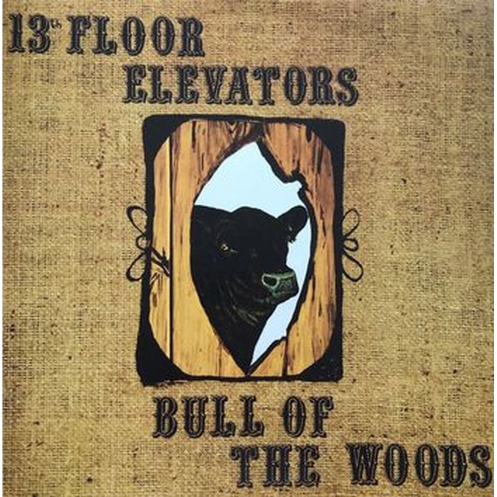 bull of the woods