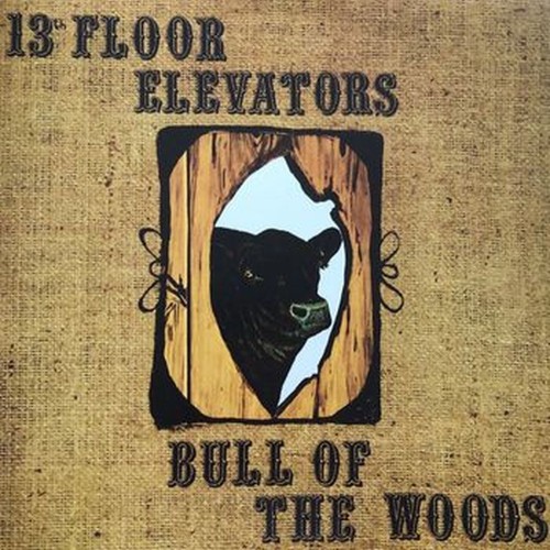 bull of the woods
