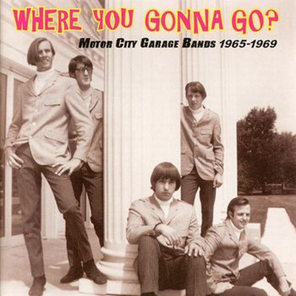  the unrelated segments - where you gonna go? motor city garage bands 1965-1969