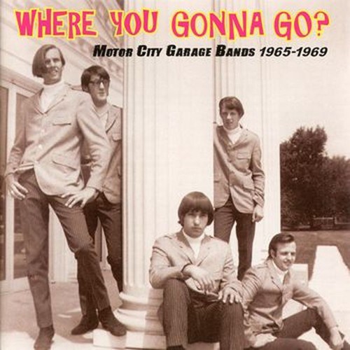  the unrelated segments - where you gonna go? motor city garage bands 1965-1969