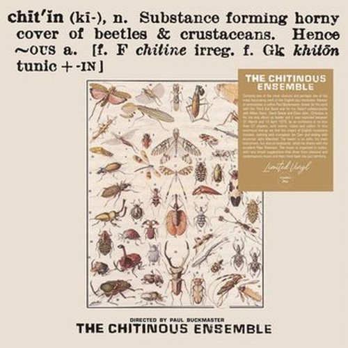 the chitinous ensemble