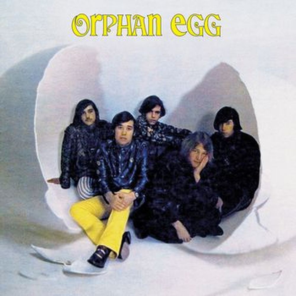 orphan egg