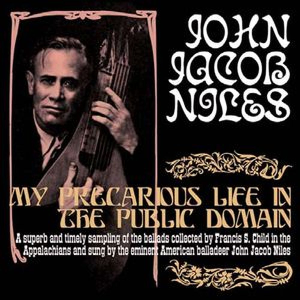 my precarious life in the public domain