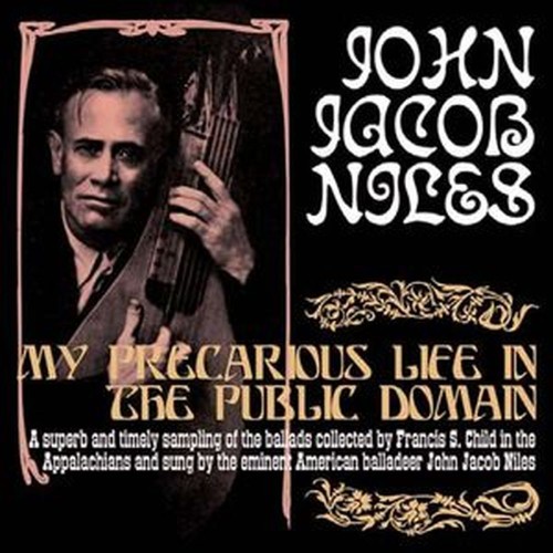 my precarious life in the public domain