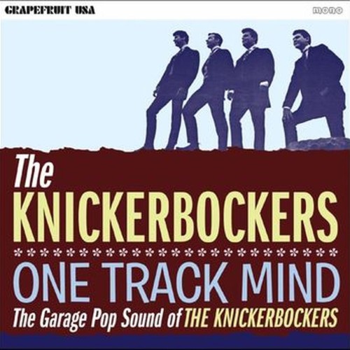 one track mind - the garage sound of the knickerbockers