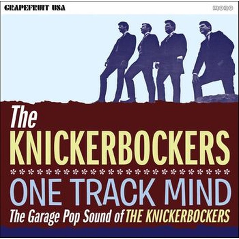 one track mind - the garage sound of the knickerbockers