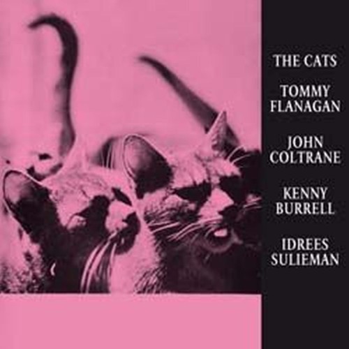 the cats