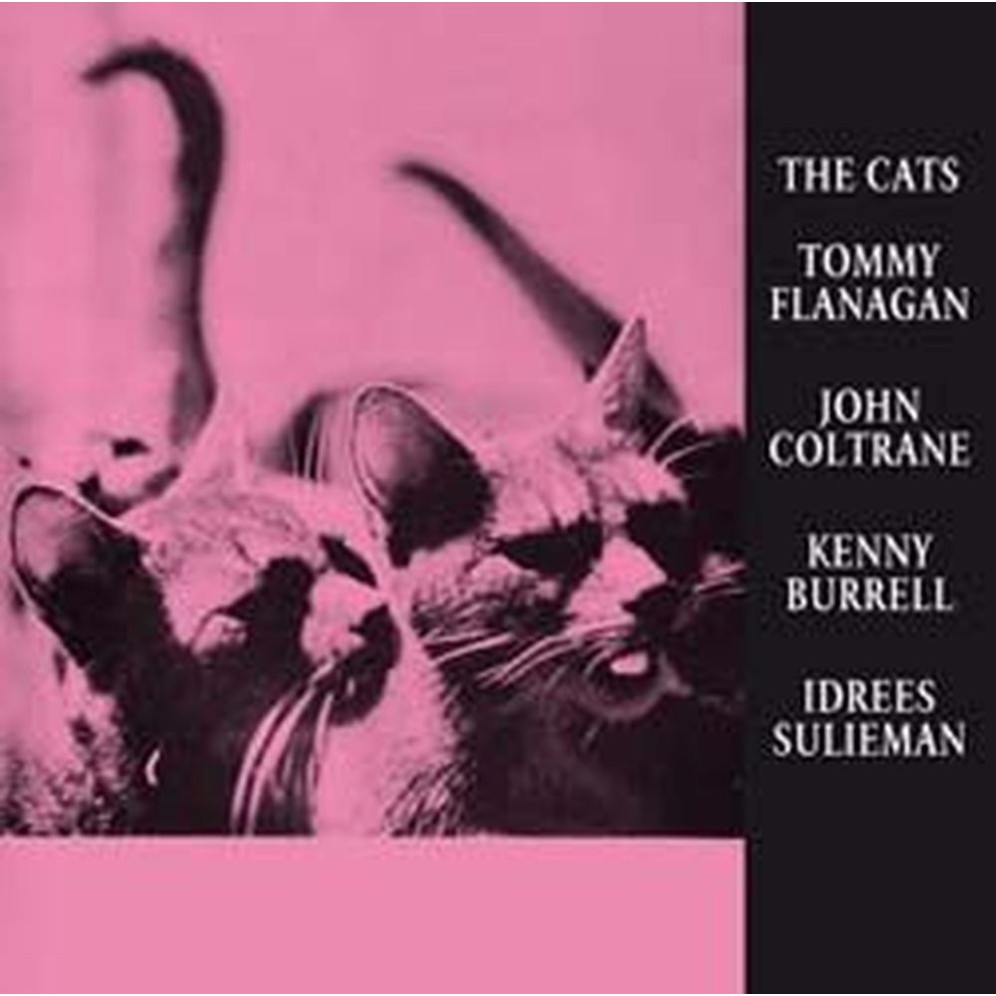 the cats