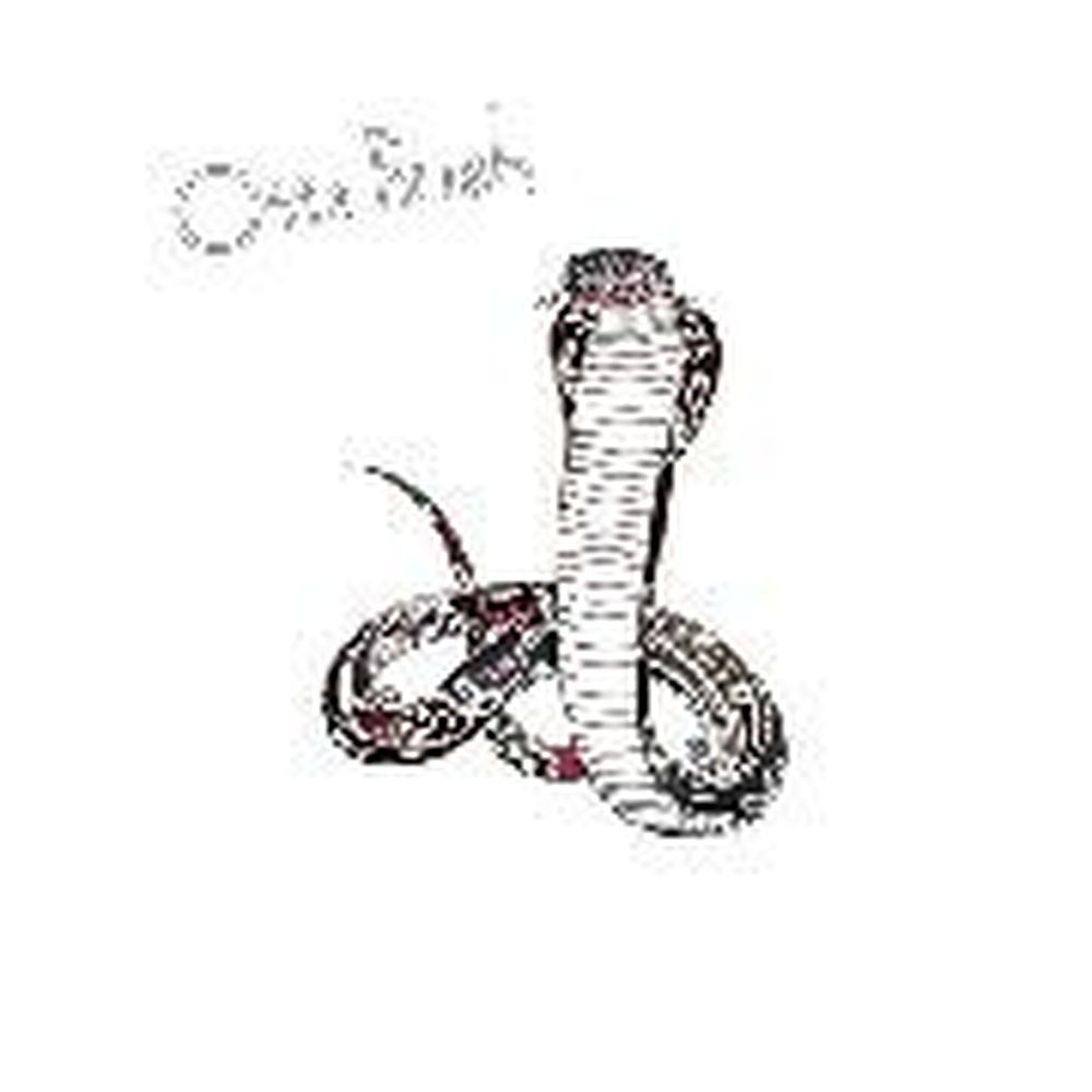 cobra