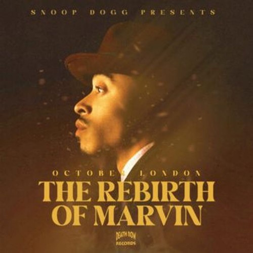 the rebirth of marvin (limited deluxe edition brown marbled)