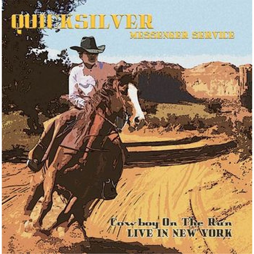 cowboy on the run - live in new york