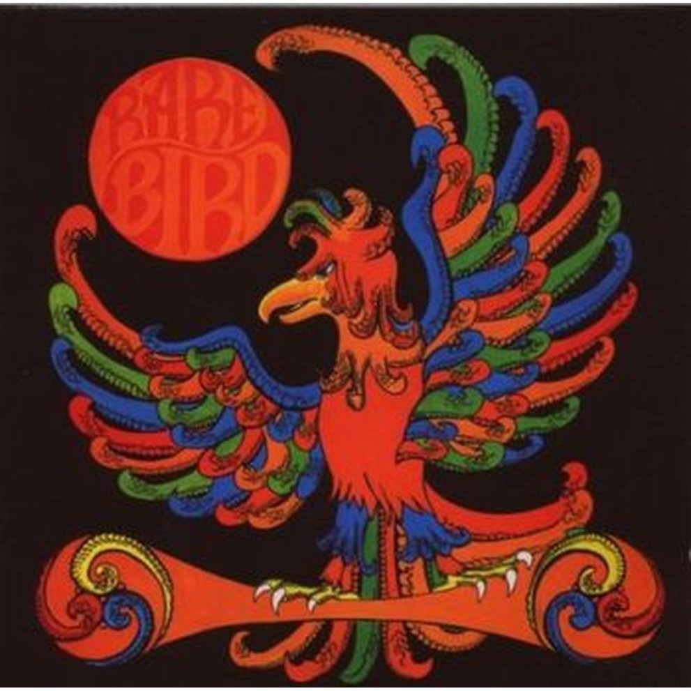 rare bird
