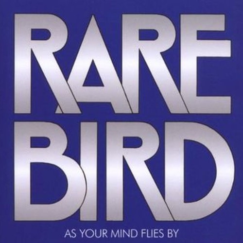 as your mind flies by
