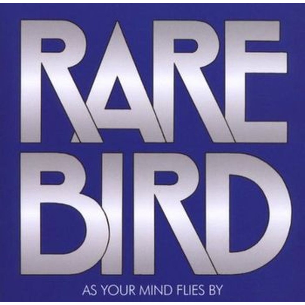 as your mind flies by