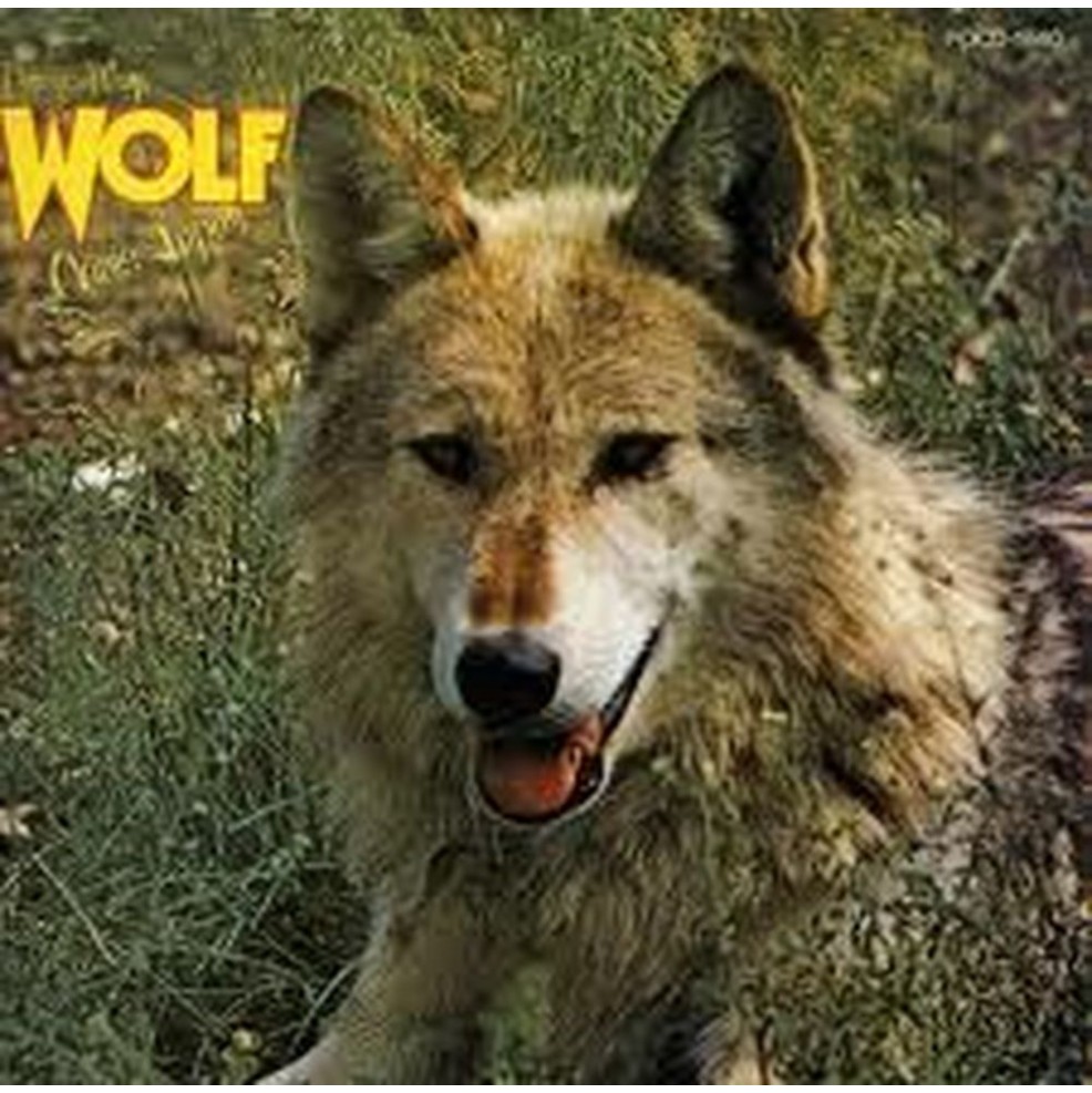 canis lupus