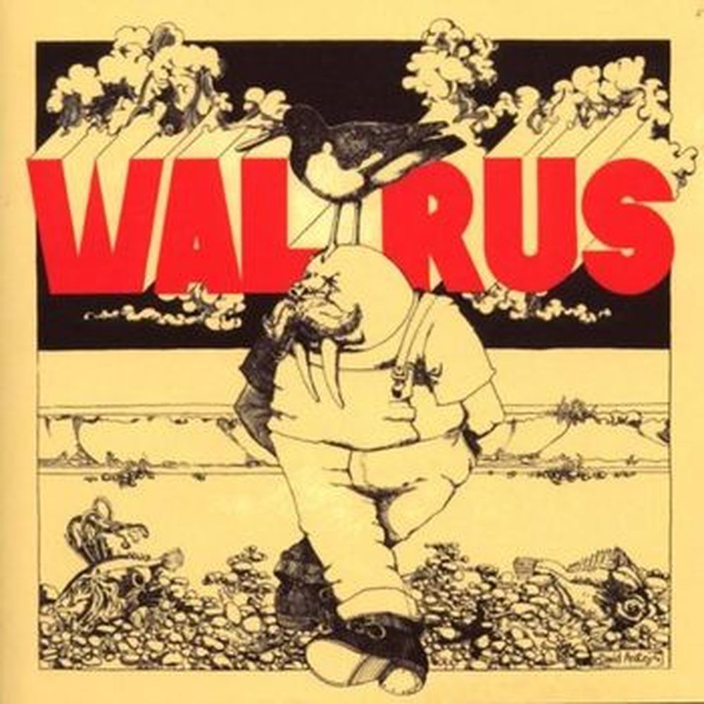 walrus