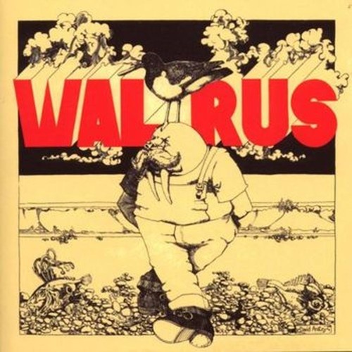 walrus