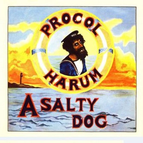 a salty dog