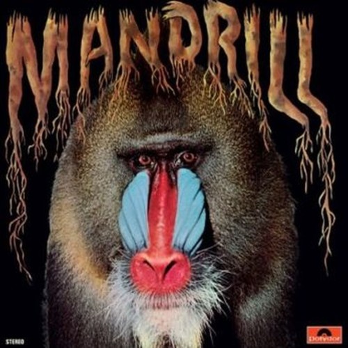mandrill