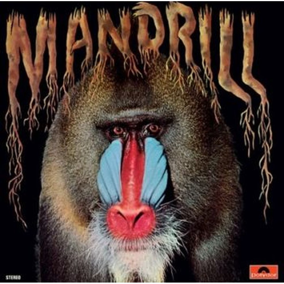 mandrill