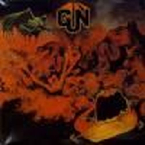 gun