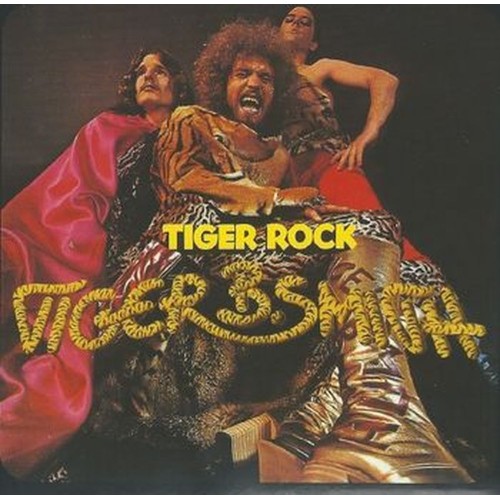 tiger rock tiger rock