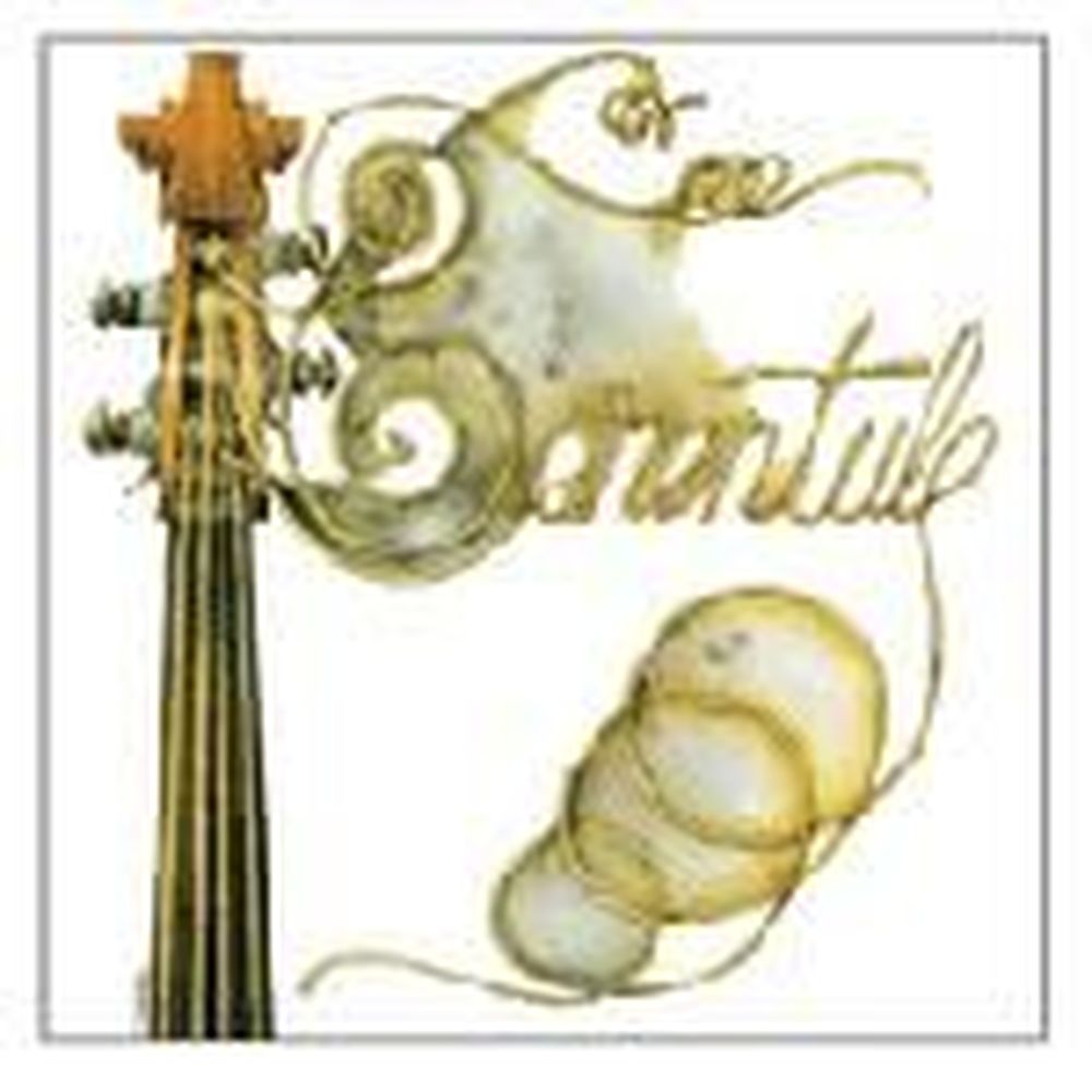 tarentule