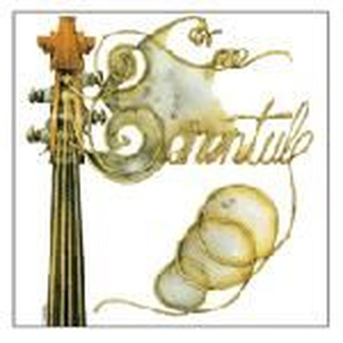 tarentule
