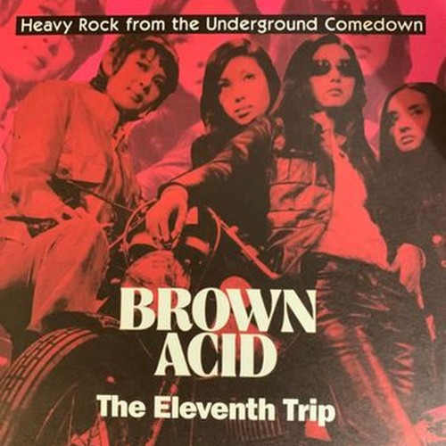 brown acid: the eleventh trip (heavy rock from the underground comedown)