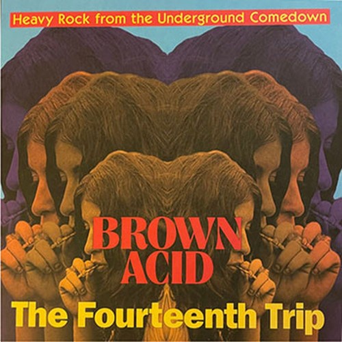 brown acid the fourteenth trip