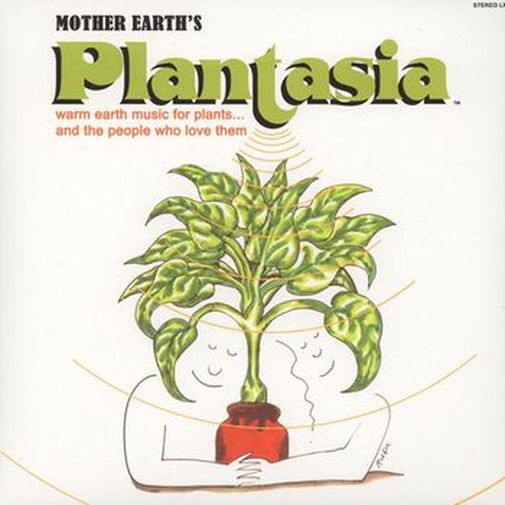 mother earth's plantagia