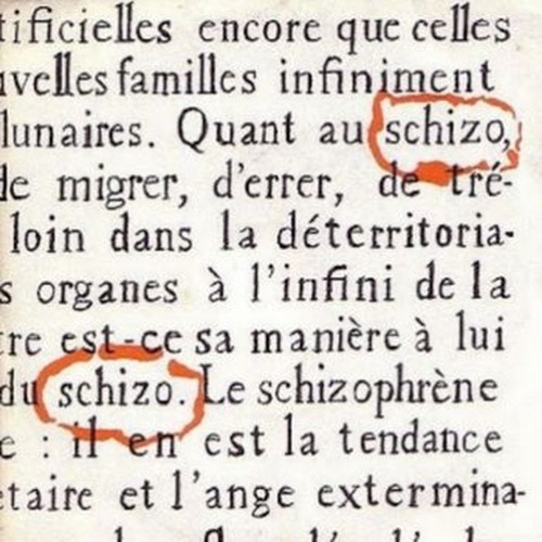 le voyageur / torcol
