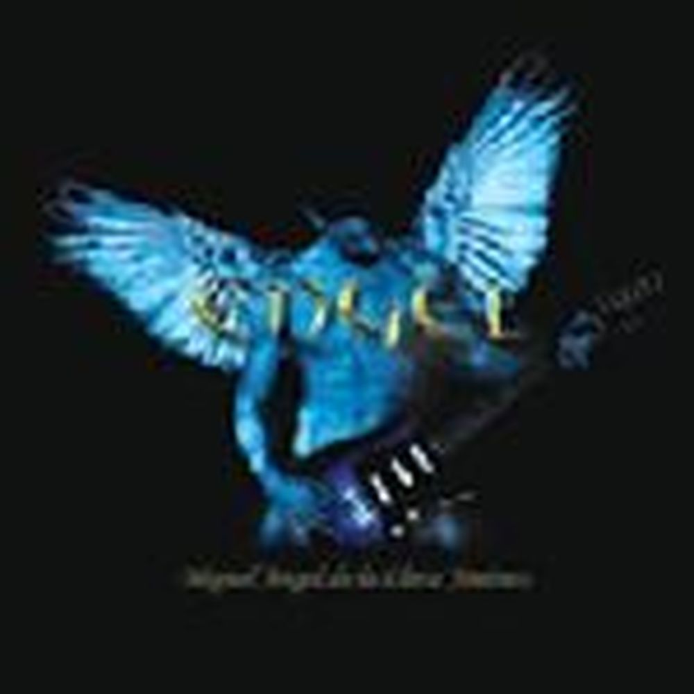 engel