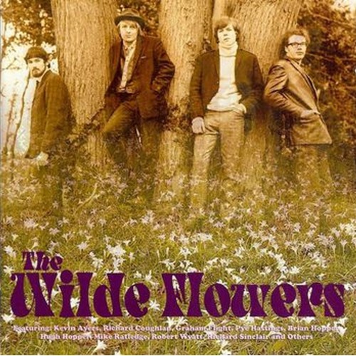 the wilde flowers