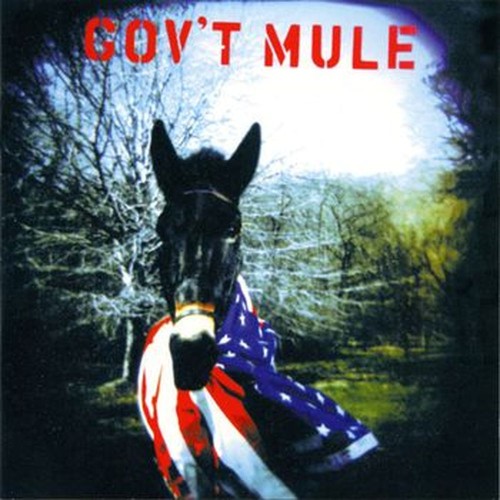 gov't mule