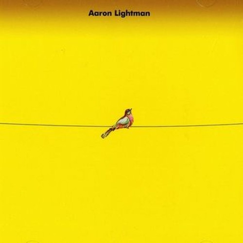aaron lightman