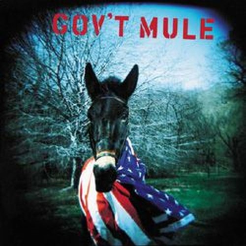 gov't mule