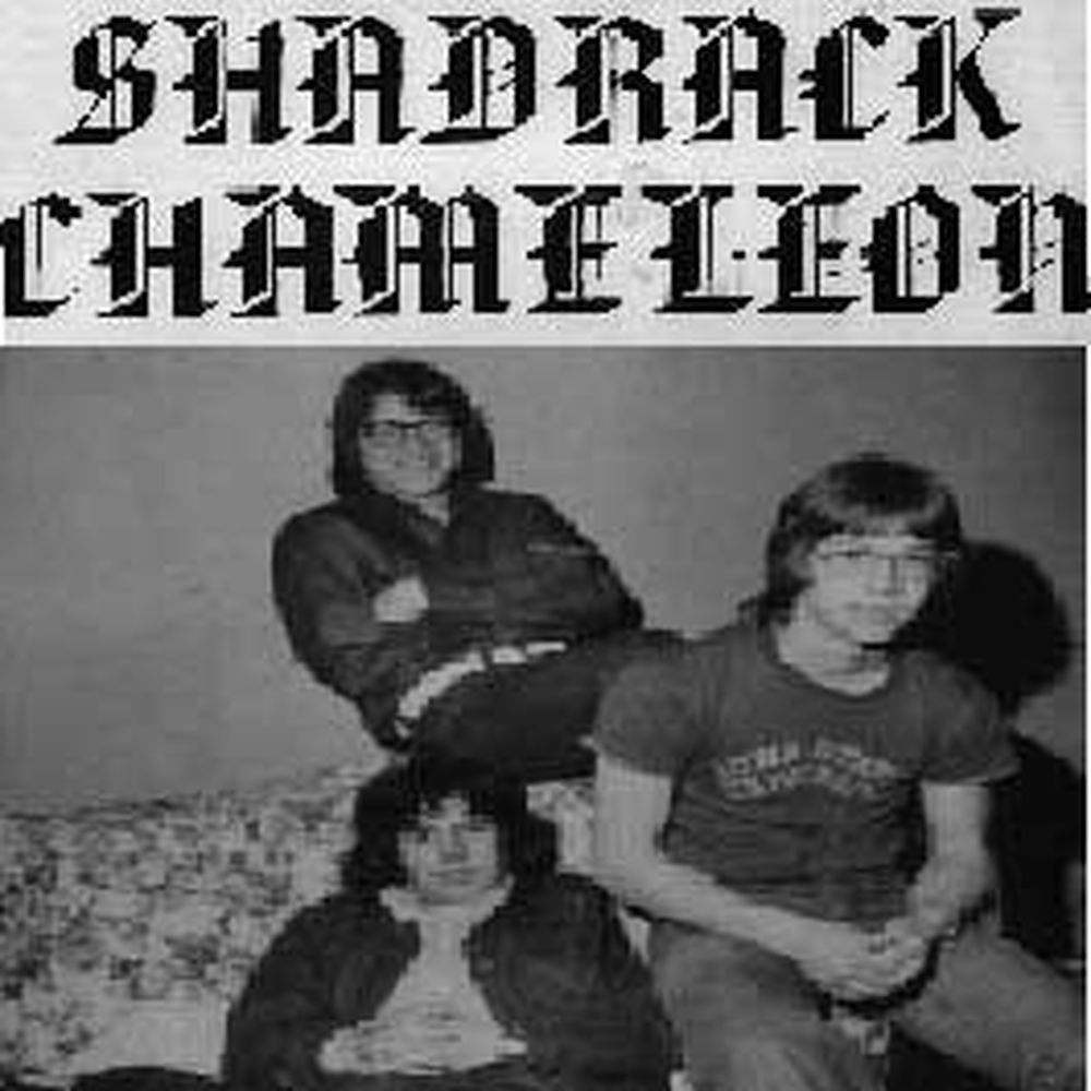 shadrack chameleon