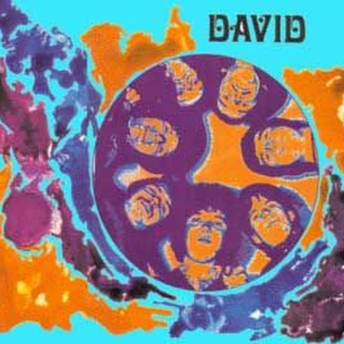 david