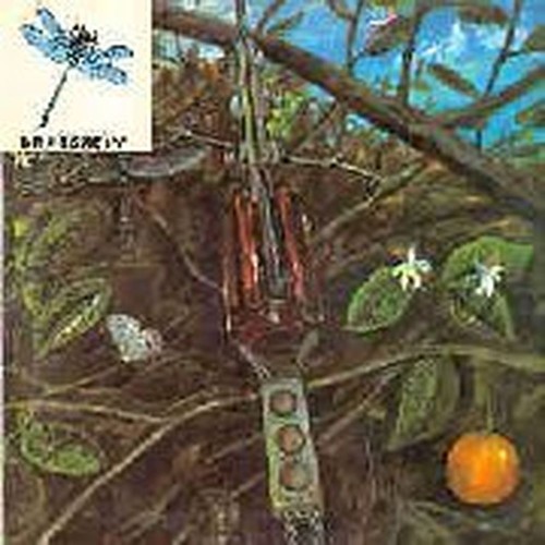 dragonfly