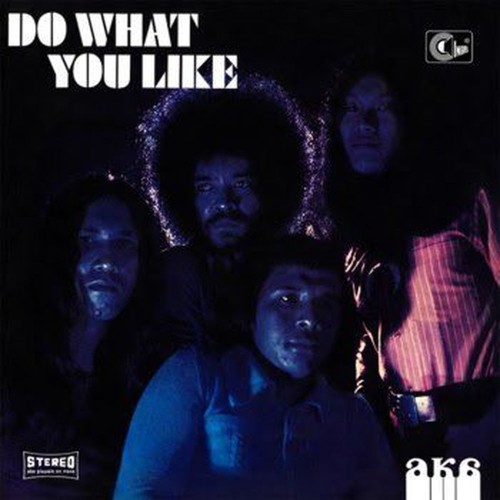 do what you like